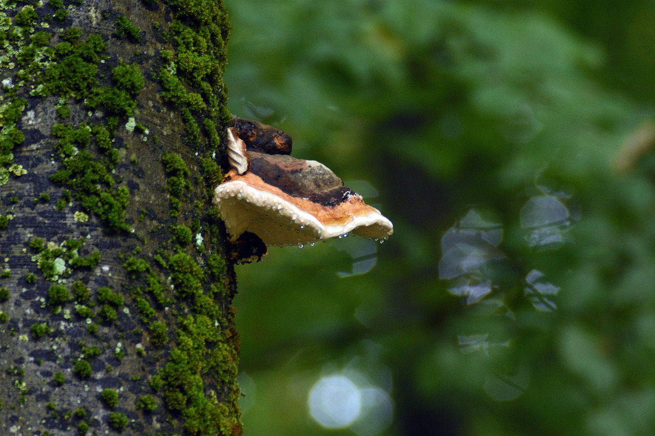 乐清注册会计代理平台