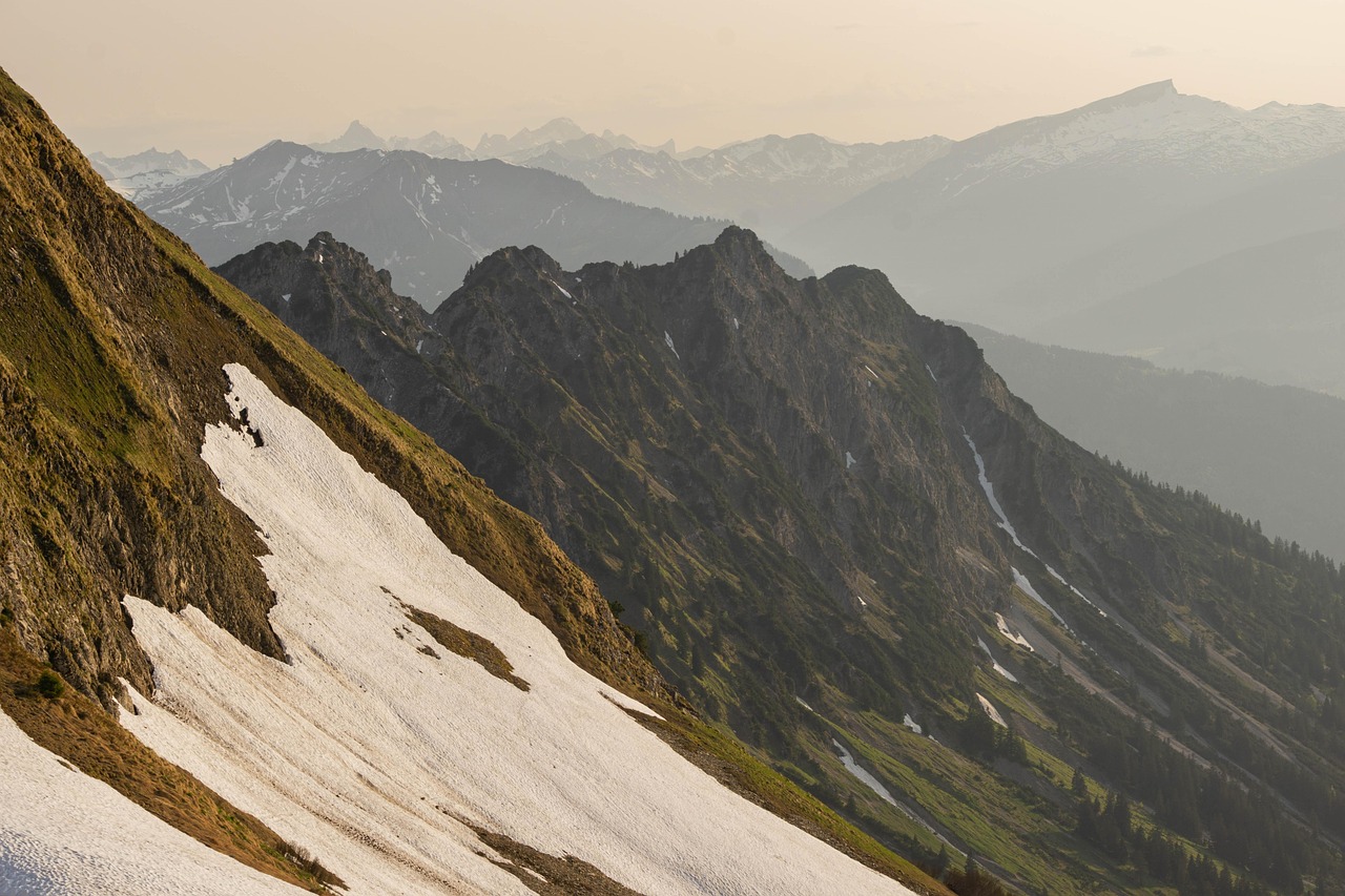 白号发卡网：整合营销平台代理