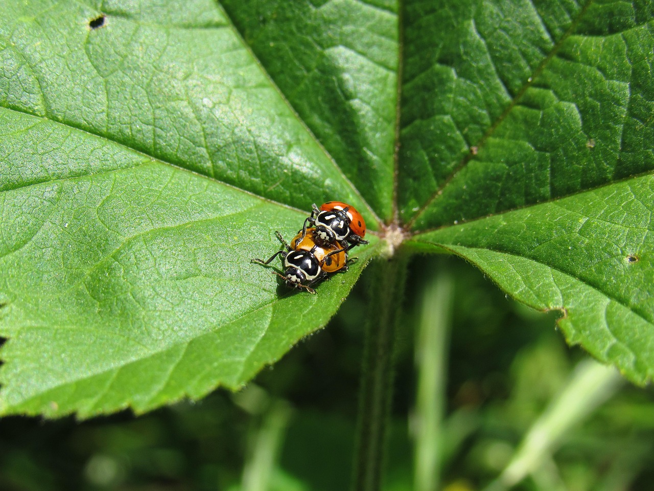 星战前夜：晨曦：西安流量购买平台