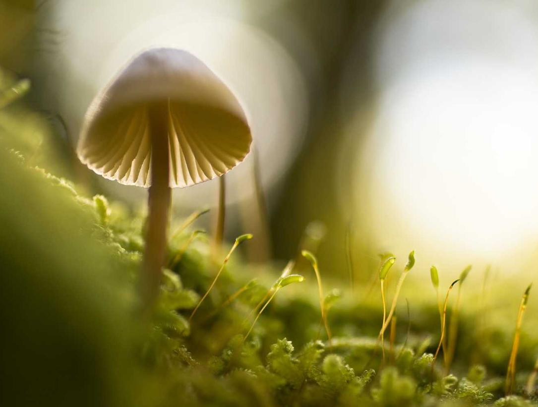 光辉2普陀区常规注册公司代理